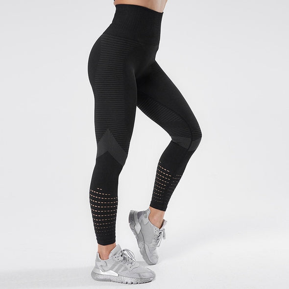 NORM Seamless Leggings